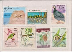 Dünya Pulları Karışık Lotlar, Kartpostal, Para