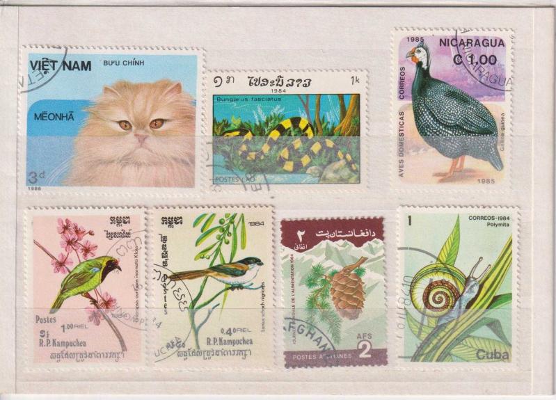 Dünya Pulları Karışık Lotlar, Kartpostal, Para