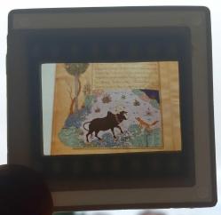 5 ADET OSMANLI MİNYATÜR SANATI DİA FOTOĞRAF 1990'LAR ÇEKİM KONDİSYON YÜKSEK KOLEKSİYONLUK NADİR (B)