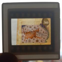 5 ADET OSMANLI MİNYATÜR SANATI DİA FOTOĞRAF 1990'LAR ÇEKİM KONDİSYON YÜKSEK KOLEKSİYONLUK NADİR (B)