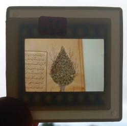 5 ADET OSMANLI MİNYATÜR SANATI DİA FOTOĞRAF 1990'LAR ÇEKİM KONDİSYON YÜKSEK KOLEKSİYONLUK NADİR (B)