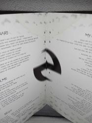 Cd Evanescence fallen albümü. Orijinal. Dinlemeyi etkilemeyen yoğun çizikler var. Baştan sona sorunsuz çalışıyor.