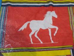 ADALET PARTİSİ EŞARP