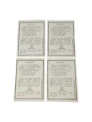 ESKİ BAKKALİYE: VOLTRAN KARTLARI