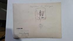 YUNANİSTAN ESKİ BAŞBAKANI ANDREA PAPANDREU'NUN ORİJİNAL BÜYÜK BOY FOTOĞRAFI (ΦΩΤΟΓΡΑΦΙΑ ΤΟΥ ΠΡΩΗΝ ΠΡΩΘΥΠΟΥΡΓΟΥ ΤΗΣ ΕΛΛΑΔΑΣ, ΑΝΔΡΕΑ ΠΑΠΑΝΔΡΕΟΥ) - 24 x 18 cm EBADINDA - ANDREAS PAPANDREU, KİPRİYAN İLE SOHBET EDERKEN ÇEKİLMİŞ BİR KARE. 1982