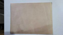 YUNANİSTAN ESKİ BAŞBAKANI ANDREA PAPANDREU'NUN ORİJİNAL HABER AJANSI BASIMI FOTOĞRAFI (ΦΩΤΟΓΡΑΦΙΑ ΤΟΥ ΠΡΩΗΝ ΠΡΩΘΥΠΟΥΡΓΟΥ ΤΗΣ ΕΛΛΑΔΑΣ, ΑΝΔΡΕΑ ΠΑΠΑΝΔΡΕΟΥ) - 24 x 18 cm EBADINDA - ANDREAS PAPANDREU, AİLE ÜYELERİNDEN SOPHIA, NICHOLAS, MARGARITA ve ANDREAS JR. İLE AYNI KAREDE. 1981