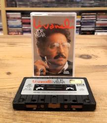 ZÜLFÜ LİVANELİ ZOR YILLAR KASET