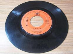 NİLÜFER-Dünya Dönüyor/Neden...45 LİK