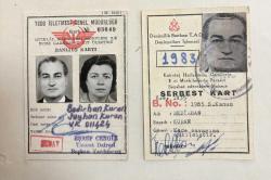 TCDD ve Denizcilik Bankası Denizyolları İşletmesi  Serbest Biniş Kartları