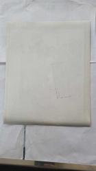 BİRLEŞİK KRALLIK ESKİ BAŞBAKANI MARGARET THATCHER'IN HABER AJANSI BASIM FOTOĞRAFI (KAĞIT BASKI) - NEWS AGENCY PHOTO (PAPER PRINT) OF FORMER UNITED KINGDOM PRIME MINISTER MARGARET THATCHER - 21 x 17 cm EBADINDA - MARGARET THATCHER'IN EŞİ DENİS THATCHER, TÜRKİYE ZİYARETİNDE DOSTLUK FİDANINI TOPRAĞA DİKTİ. - İNGİLTERE SİYASİ TARİHİ - MARGARET THATCHER'S HUSBAND, DENIS THATCHER, PLANTED A SAPLING OF FRIENDSHIP DURING HIS VISIT TO TURKEY.. 1988. HASAN AYDIN