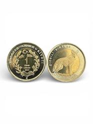 Hayvanlar Serisi Çizgili Sırtlan Çil Kondisyon