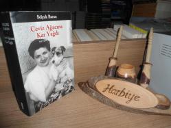 CEVİZ AĞACINA KAR YAĞDI - BÜTÜN ÖYKÜLERİ