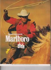 auto motor & sport   AUTO KATALOG  1993/94   TÜRKİYE' DE YAYINLANAN İLK KATALOG  -  ESKİ OTOMOBİL DERGİLERİ