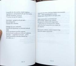 Oruç Aruoba – Yürüme (3. Baskı, Metis Yayınları)