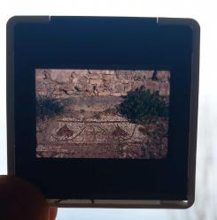 5 ADET ANTİK KENT DİA FOTOĞRAF LOTU 1990'LAR ÇEKİM KONDİSYON YÜKSEK KOLEKSİYONLUK NADİR (sa)