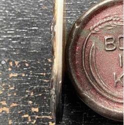 Doğal Sedef CAMEO , Kolye, Broş için ideal