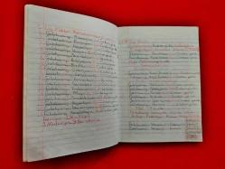 Galatasaray Hatıra Defteri - Bir Genç Kızın 1997, 1998, 1999 Yıllarında Galatasaray Maçları ve Anılarını Yazdığı Günlük Defteri - Futbolcu Kartları ve Gazete Kupürleri