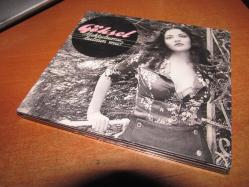 GÖKSEL MEKTUBUMU BULDUN MU  CD
