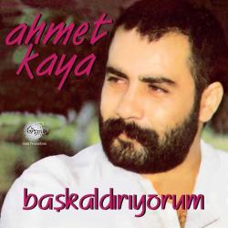 Başkaldırıyorum (Plak) Ahmet Kaya