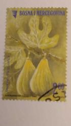 LOT.4 » 2005 YILI BOSNA HERSEK MEYVALAR  DAMGALI ŞARNİYERSİZ