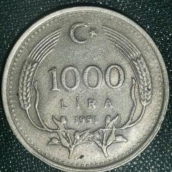 TÜRKİYE  1991  1000 LİRA