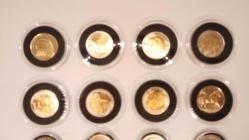 “ANADOLUYA ÖZGÜ HAYVANLAR” 2009-2016 Yılları ARASI 1 LİRA KAPSÜLÜNDE HATIRA TAM SERİ PARA SETİ 457