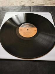 3 üç hürel arşivi dönem plak