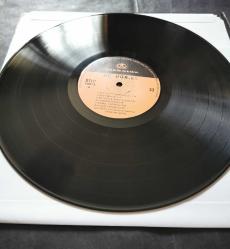 3 üç hürel arşivi dönem plak