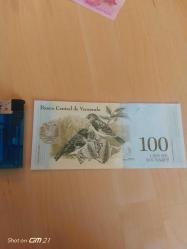 100 Venezuela Bolivares kağıt para. Dikey para. Çil durumda