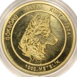 2024 1.000 Metelik Metehan - Gökbörü Yeleli Kurt Sertifikalı
