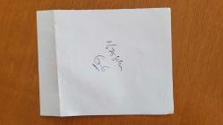 TÜRKİYE CUMHURİYETİ ESKİ BAŞBAKANI TANSU ÇİLLER'İN AJANS-BASIN FOTOĞRAFI (KAĞIT BASKI) - 21 x 17 cm EBADINDA - TANSU ÇİLLER