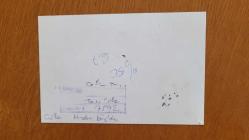 TÜRKİYE CUMHURİYETİ ESKİ BAŞBAKANI TANSU ÇİLLER'İN ORİJİNAL AJANS-BASIN FOTOĞRAFI - 18 x 12 cm EBADINDA - TANSU ÇİLLER HALKI SELAMLARKEN ÇEKİLMİŞ BİR KARE