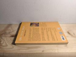 AŞKA ŞEYTAN KARIŞIR