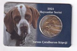 2011 Hayvanlar Serisi Tarsus Çatalburun Köpeği - ÇİL - Özel Kutusunda