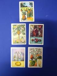 1975 ORİJİNAL DÖNEM ÜRÜNÜ KOLEKSİYONLUK NESTLE ÇİKOLATA KARTLARI