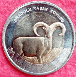 1 LİRA, 2015 ÇİL Anadolu Yaban Koyunu Hatıra Para
