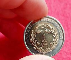 1 LİRA, 2015 ÇİL Anadolu Yaban Koyunu Hatıra Para