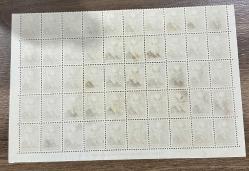 1946 TC İsmet İnönü 0.25 kuruş 50 li blok resmi sürşarjlı pullar MNH-Nadir Tabaka