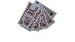 A-B-C-D-E-F ÇİL HARF TAKIMI 100 LİRA