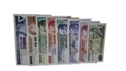 LOT.5 » 7.EMİSYON LOT ÇİL(10 LİRA ÇÇT)