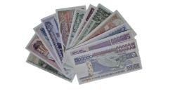 7.EMİSYON 12 Lİ SET