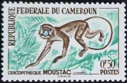 +++ KAMERUN MAYMUN     1965         DAMGASIZ