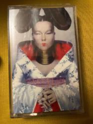 Björk homogenic kaset