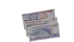 8.EMİSYON 1-5-10 YTL