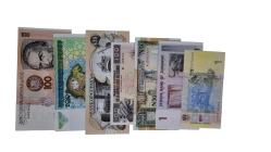 KARIŞIK YABANCI KAĞIT PARA LOTU ÇİL