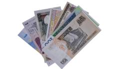 KARIŞIK YABANCI KAĞIT PARA LOTU ÇİL