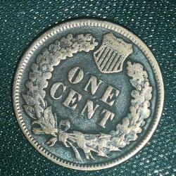 AMERİKA  1901    1  CENT