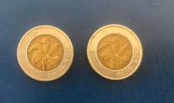 LOT.13 » HONG KONG MADENİ PARA 10 DOLLARS 1994-1995  / 2 ADET