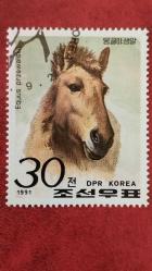 LOT.17 » 1991 YILI KUZEY KORE ATLAR DAMGALI ŞARNİYERSİZ