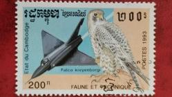 LOT.11 » 1993 YILI KAMBOÇYA ŞAHİN   DAMGALI ŞARNİYERSİZ